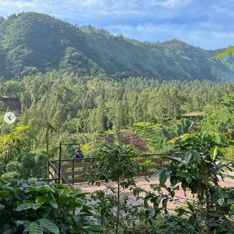De Potrek Bromo Hotel