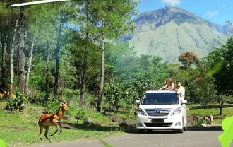 taman safari prigen