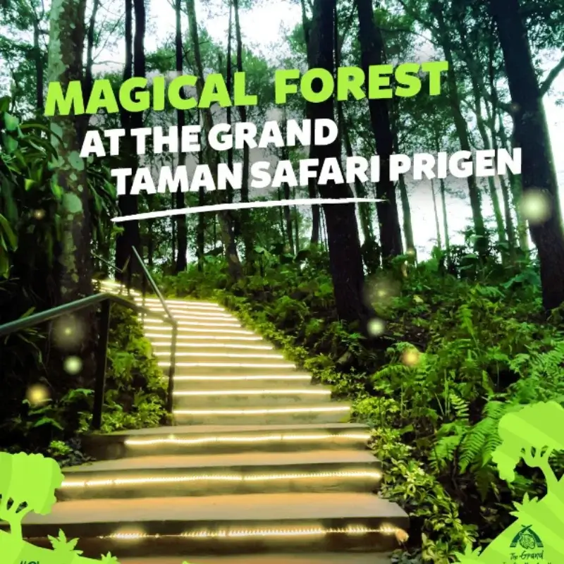enchanting forest malang