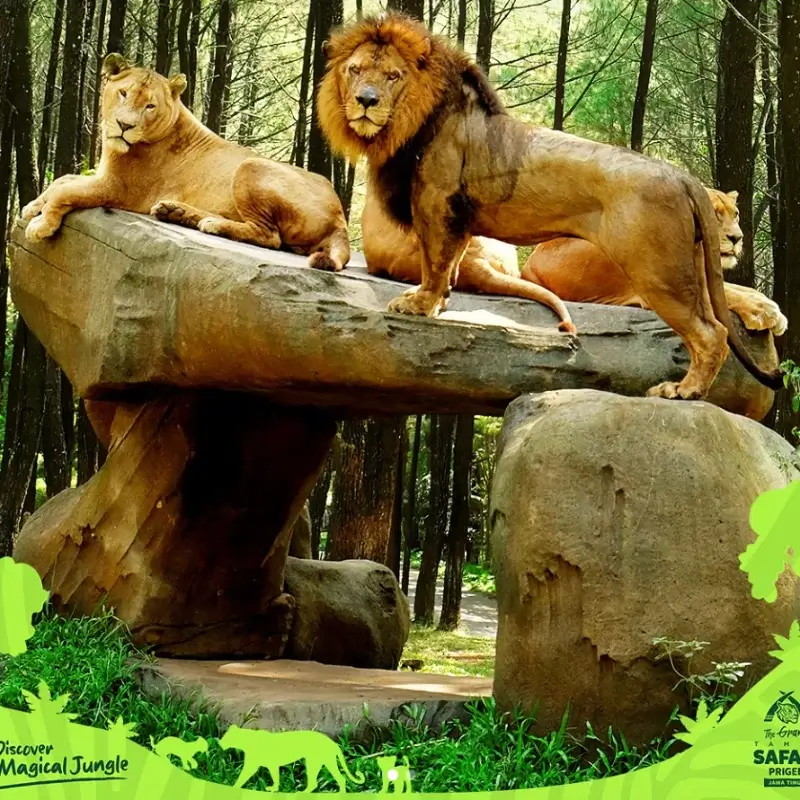 wisata taman safari