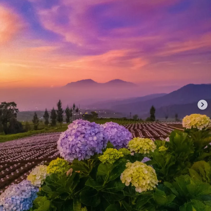 wisata batu malang estetik