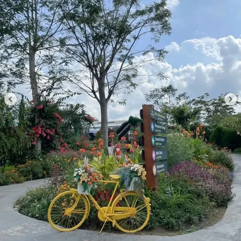 baloga malang