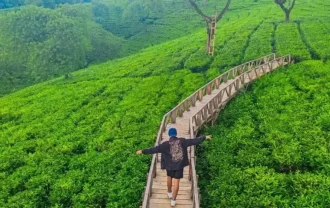 kebun teh wonosari