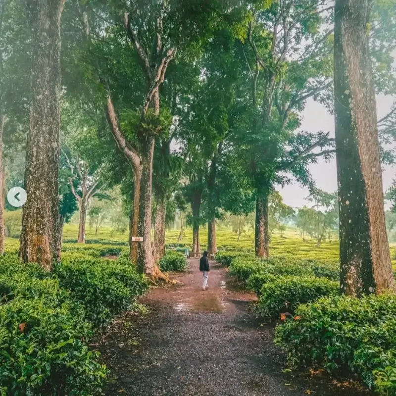 wisata alam di malang