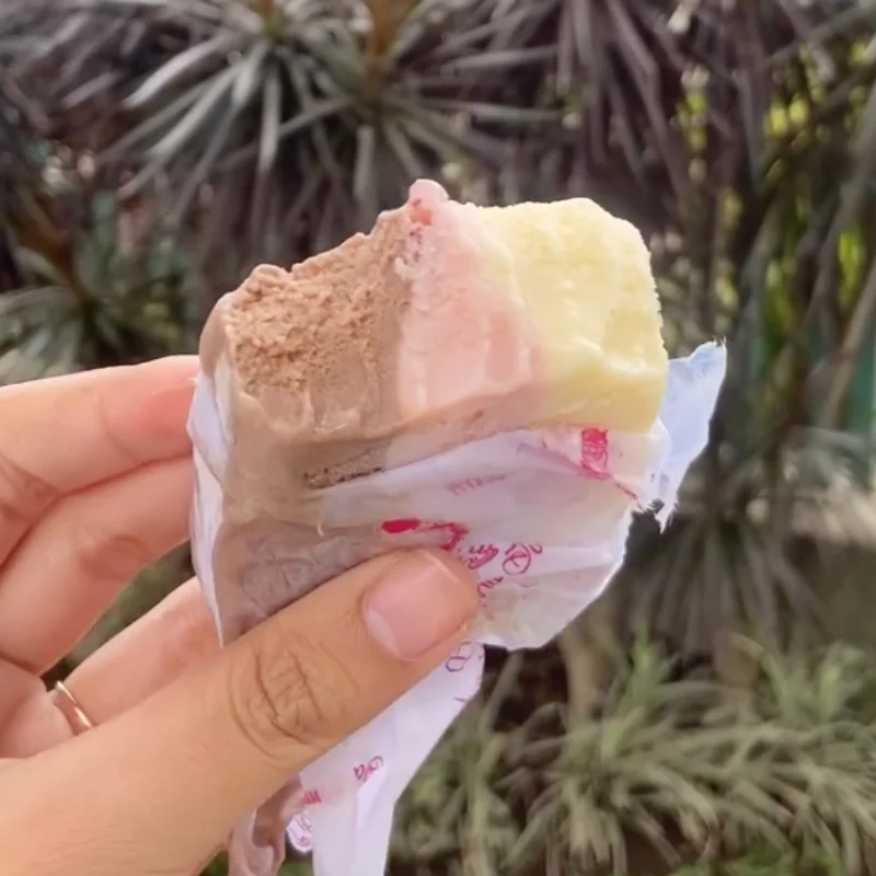 Es Krim Megawati Malang