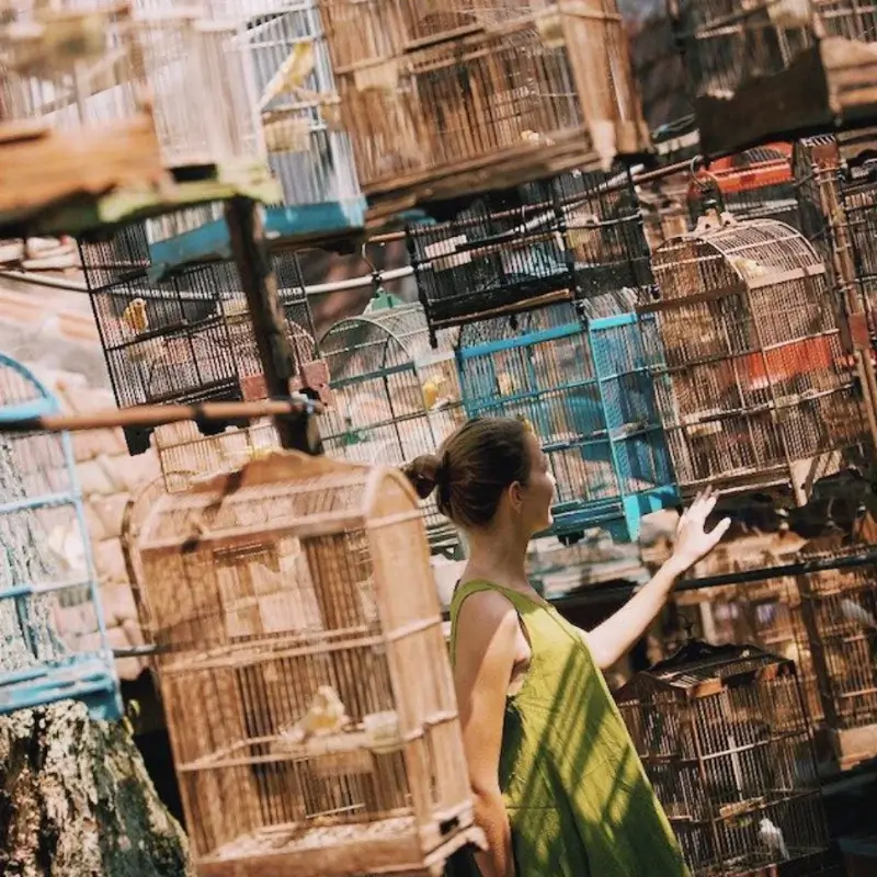 pasar bunga malang