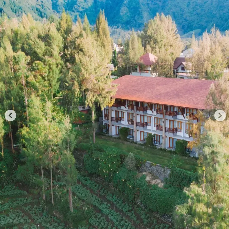 Jiwa Jawa Bromo Resort