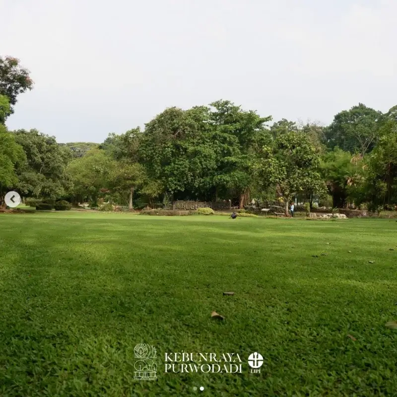 Kebun Raya Purwodadi